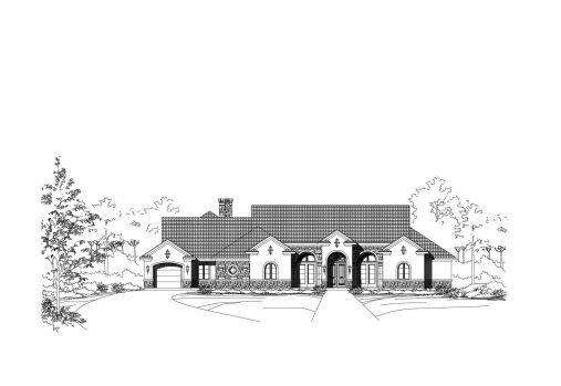 Large Image