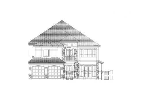 Large Image