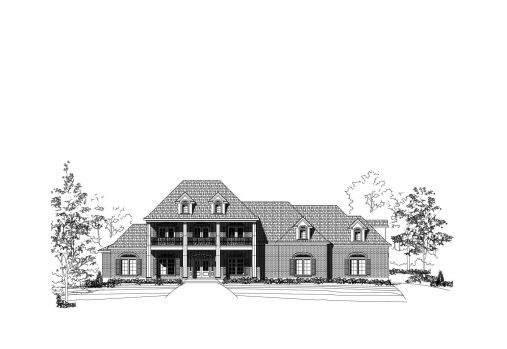 Large Image