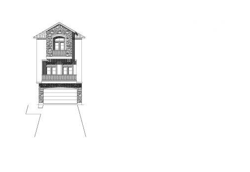 Large Image