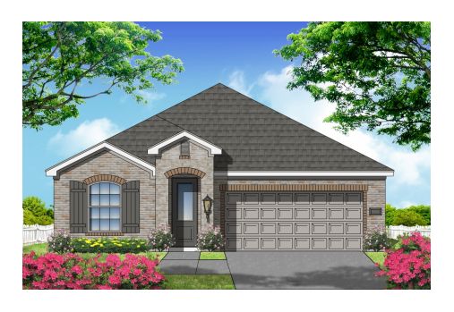 Large Image