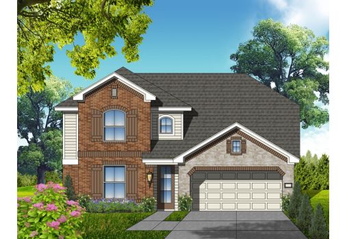 Large Image