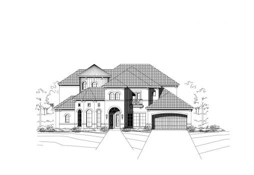 Large Image