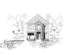Elevation