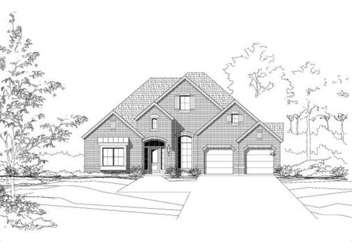 Large Image