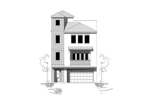 Large Image