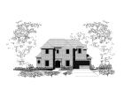Elevation