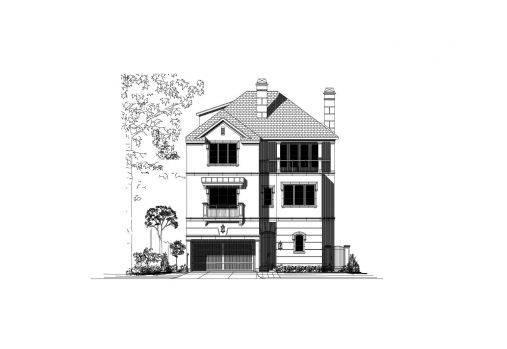 Large Image