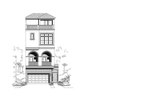 Large Image