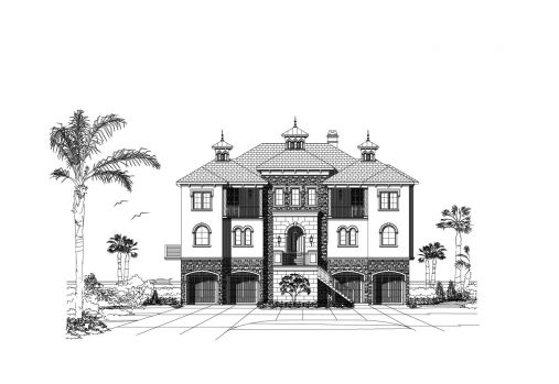 Large Image