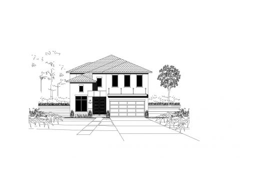 Large Image