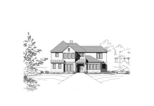 Large Image