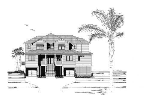 Large Image