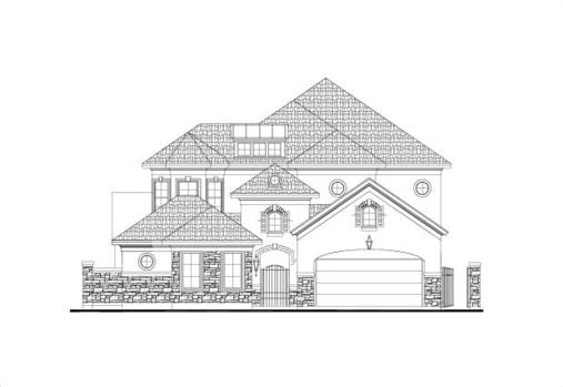 Large Image