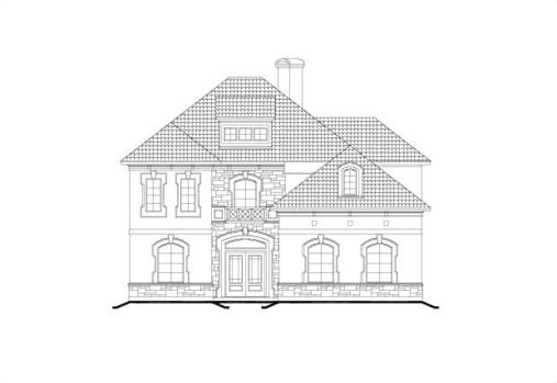 Large Image