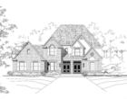 Elevation
