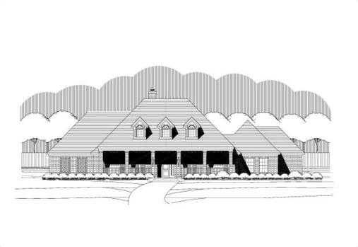 Large Image