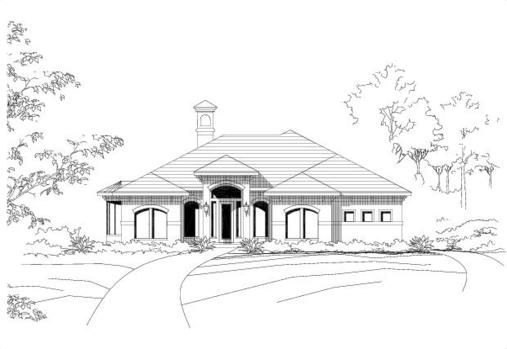 Large Image