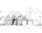 Elevation