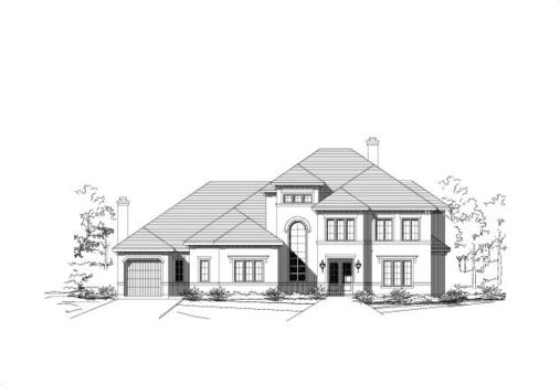 Large Image