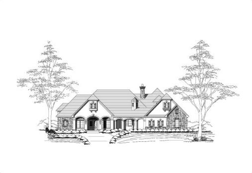 Large Image