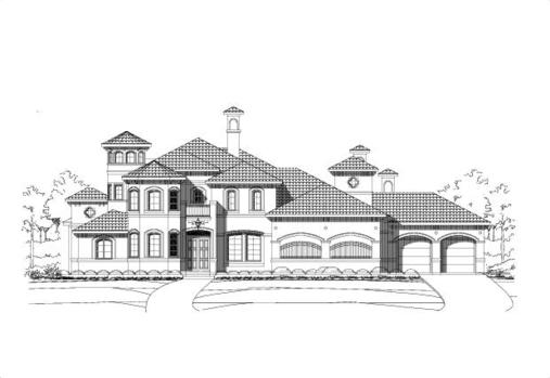 Large Image