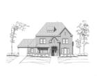 Elevation