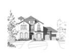 Elevation