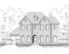 Elevation