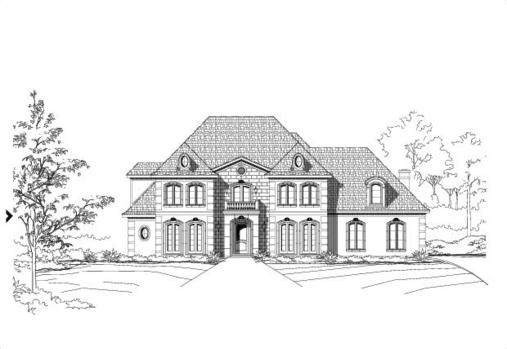 Large Image