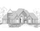 Elevation