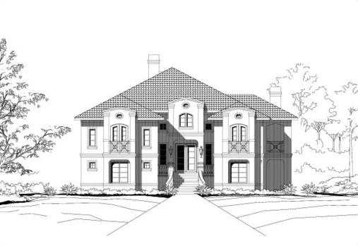 Large Image