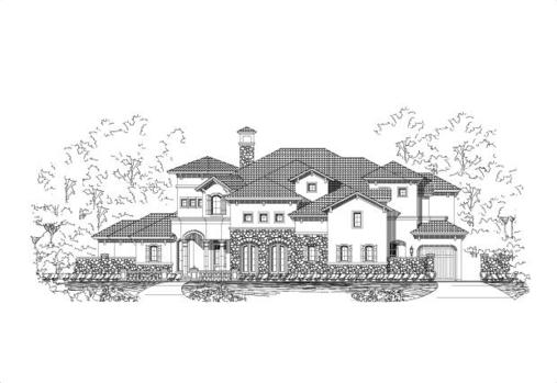 Large Image