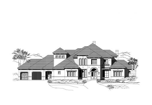 Large Image