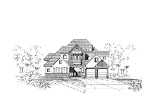 Large Image