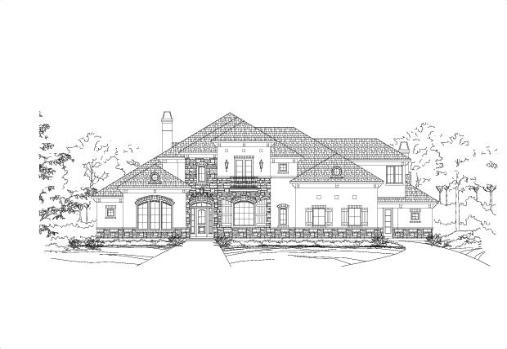 Large Image
