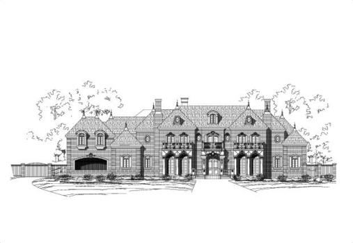 Large Image