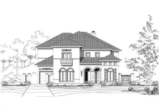 Large Image
