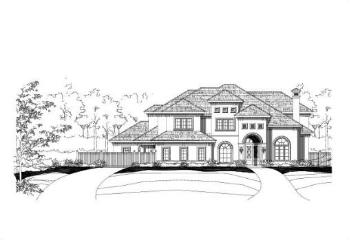 Large Image