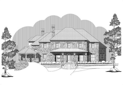 Large Image