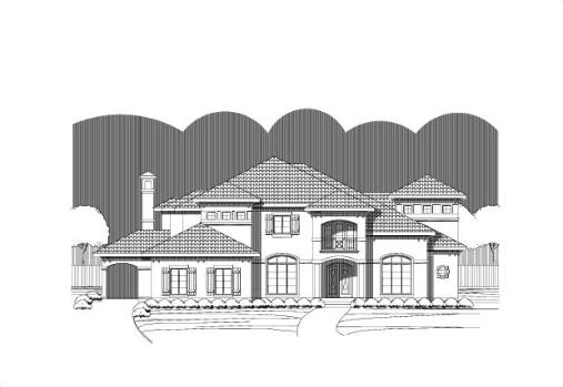 Large Image