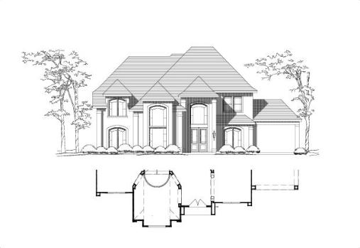 Large Image