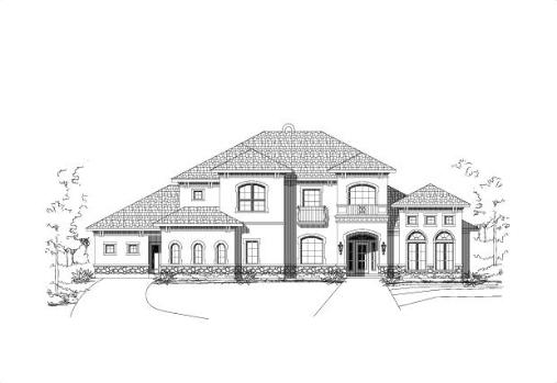 Large Image