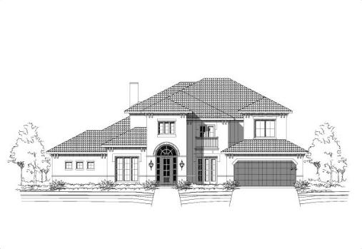 Large Image