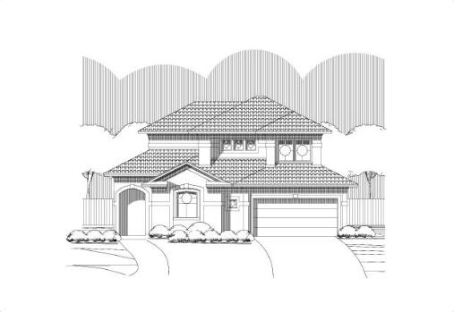 Large Image