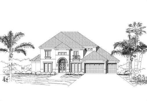 Large Image