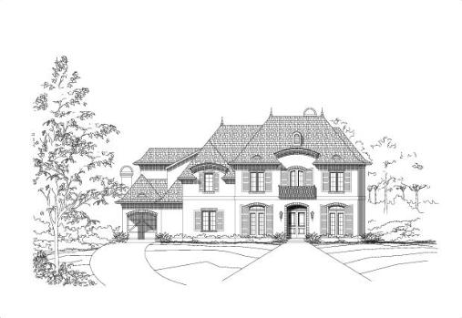Large Image