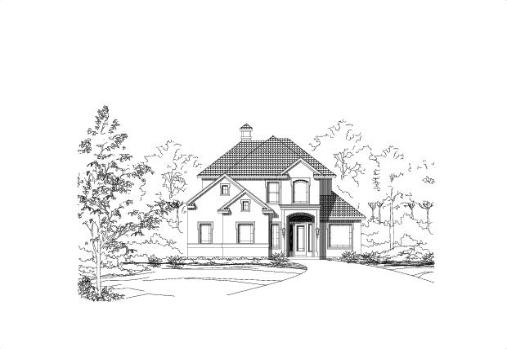 Large Image