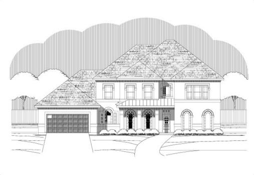 Large Image