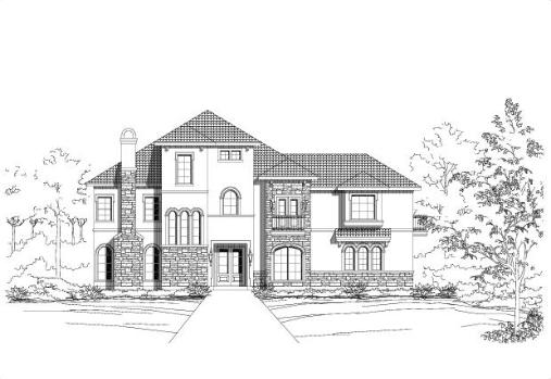 Large Image